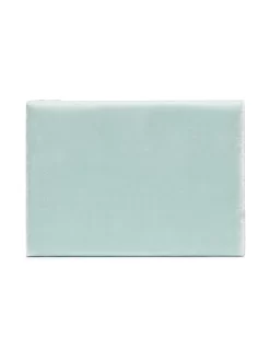 Donna Sophie Bille Brahe Portagioie