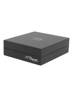 Donna S.T. Dupont Accendino