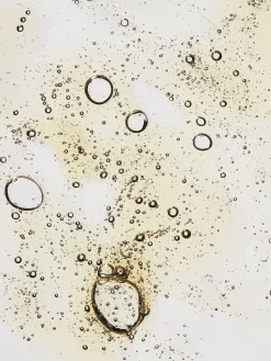 Beauty U Beauty Siero Resurfacing Compound 6 Beauty U Beauty Siero Resurfacing Compound -Femminile Moda Negozio 18053410 38705412 1000