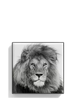 Beauty Chantecaille Ombretto Luminescent Eye Shades 5 Beauty Chantecaille Ombretto Luminescent Eye Shades -Femminile Moda Negozio 18358311 44038265 1000