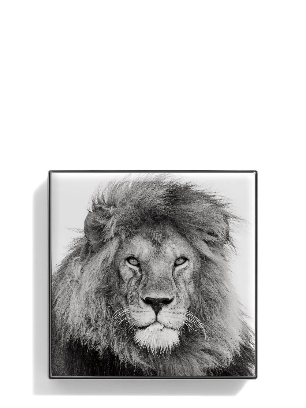 Beauty Chantecaille Ombretto Luminescent Eye Shades 4 Beauty Chantecaille Ombretto Luminescent Eye Shades - immagine 2